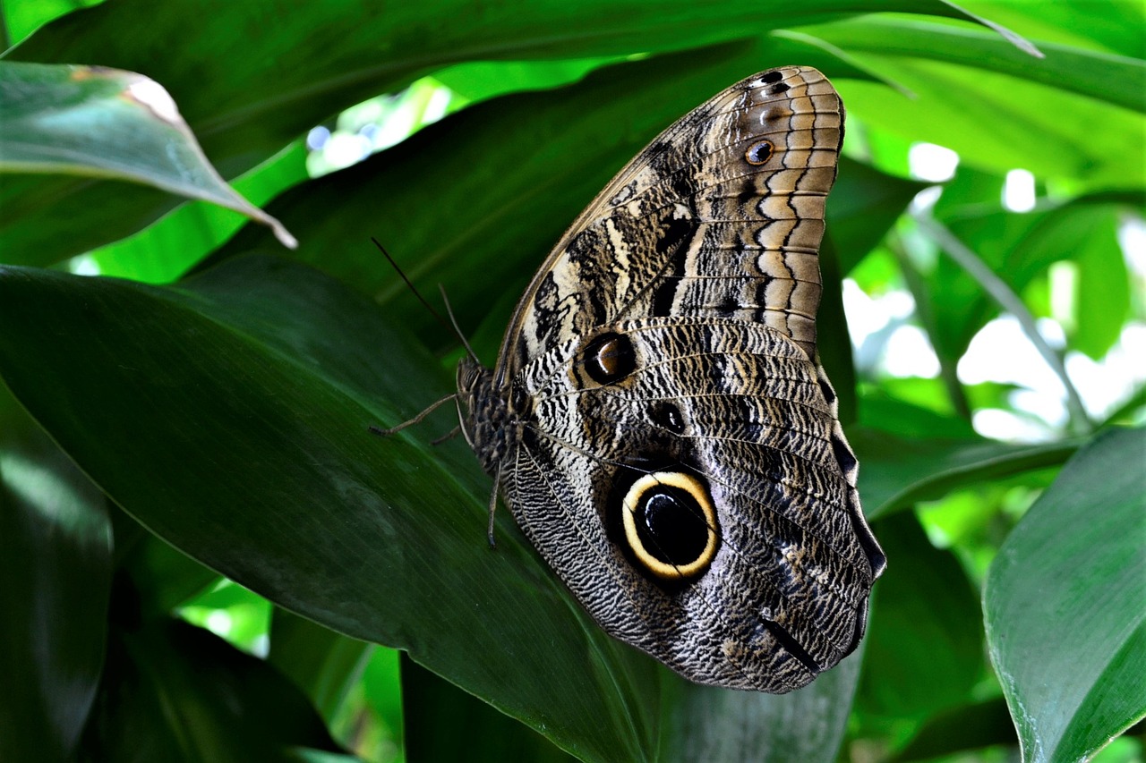 The Role of Eco-Friendly Products in Corporate Responsibility